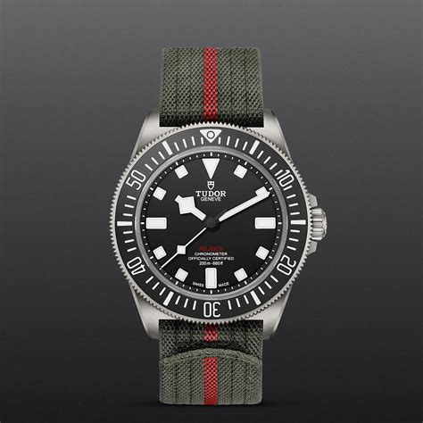 Tudor Pelagos Fxd M25717N